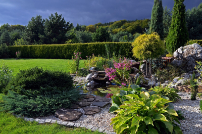Oczka wodne i stawy - ważny elementy aranżacji ogrodów